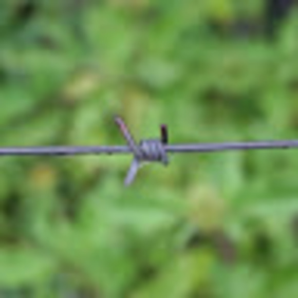 Meet your Posher, Barb - Picture 1 of 1